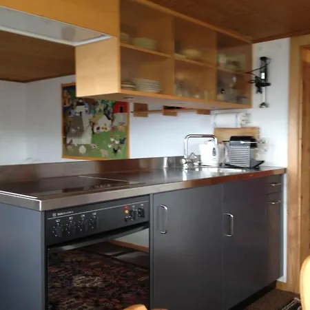 Sunneschy Eg Sued By Interhome Apartment Riederalp