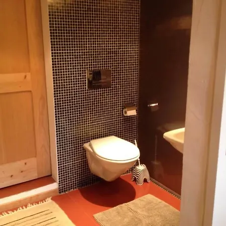 Sunneschy Eg Sued By Interhome Riederalp