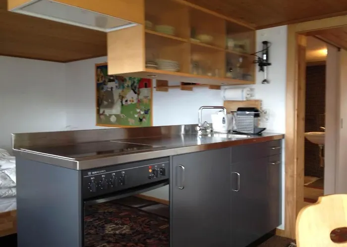 Sunneschy Eg Sued By Interhome Apartment Riederalp