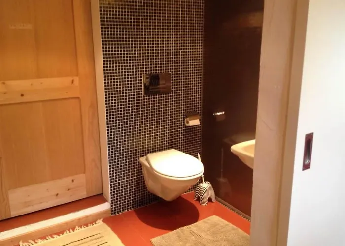 Sunneschy Eg Sued By Interhome Riederalp